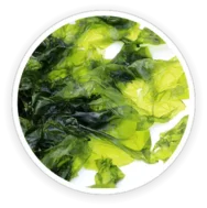 Nori Yaki Extract Powder